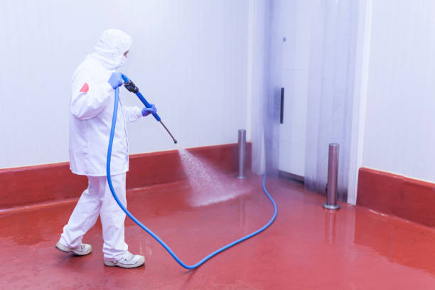 Boat and Dock Cleaning in Millington, TN