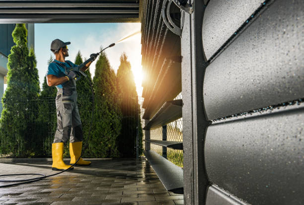 Best Solar Panel Cleaning  in Millington, TN